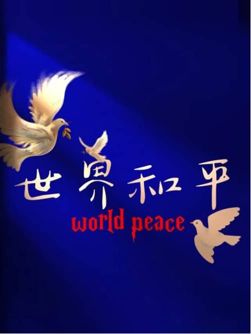 集團董事長陳偉其：構建韌勁系統——從印巴沖突說開